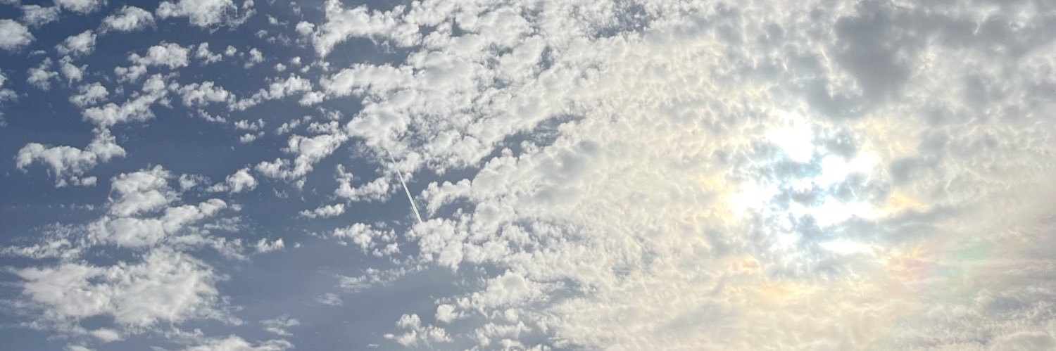 E. banner