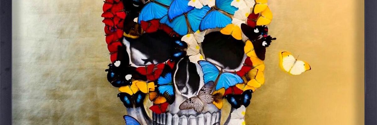 bug113's profile banner image