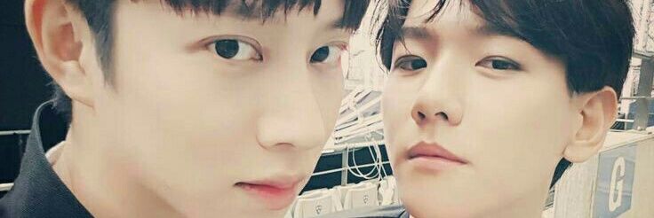 디타 banner