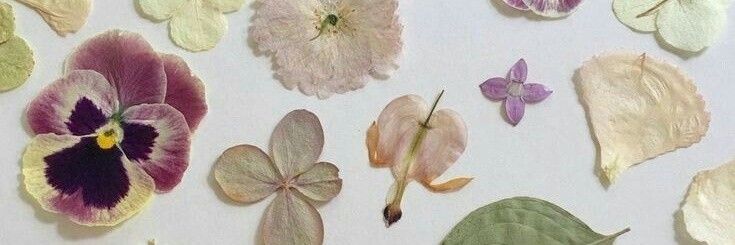 lottus VAI VER O BTS🪷 banner