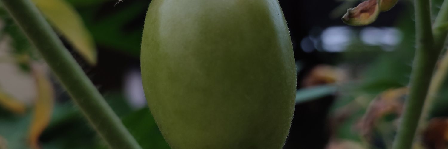 cyulun's profile banner image