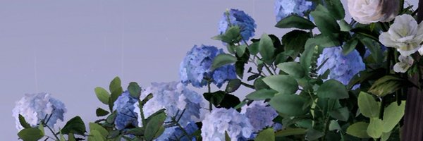 sieranoxa Profile Banner