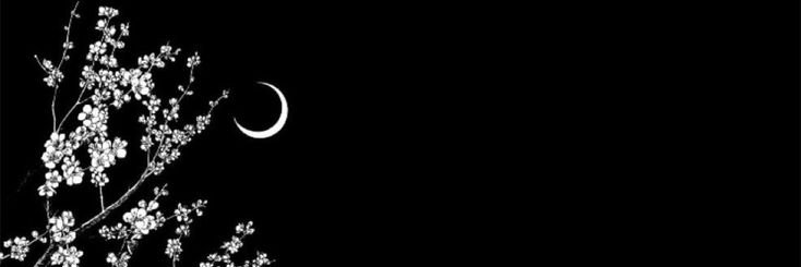 dearlunette's profile banner image