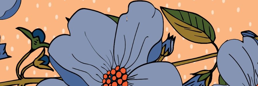 _stein_jackie's profile banner image