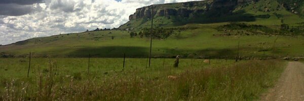 ngwanamogoto Profile Banner