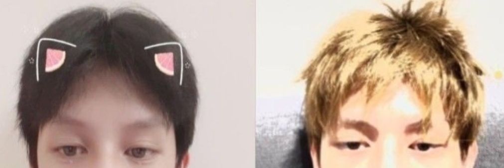 san 🐢 banner