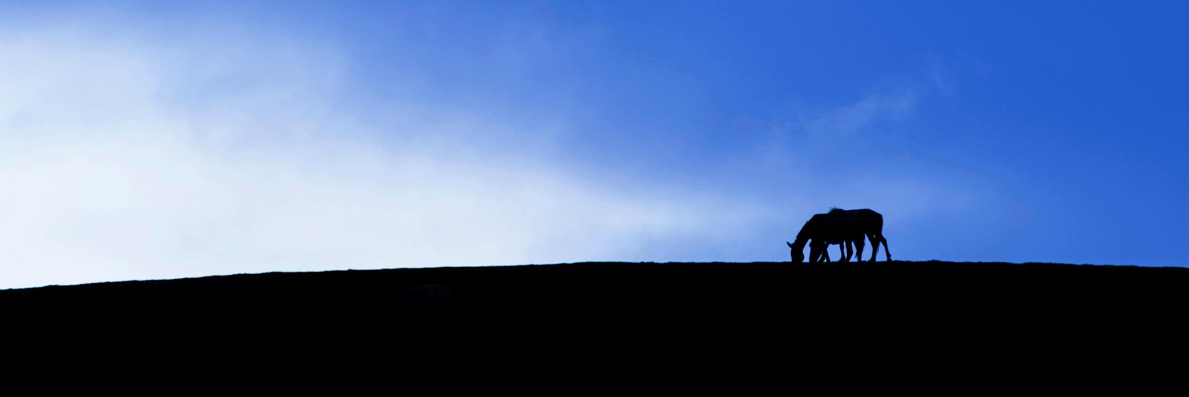 NavNirvana's profile banner image