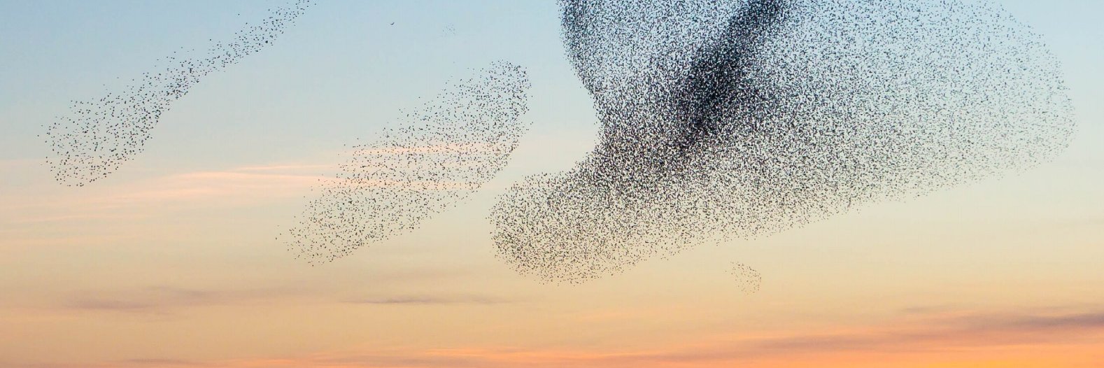 Greg Walton ⚗️ (Bluesky: @jamyang.net) banner