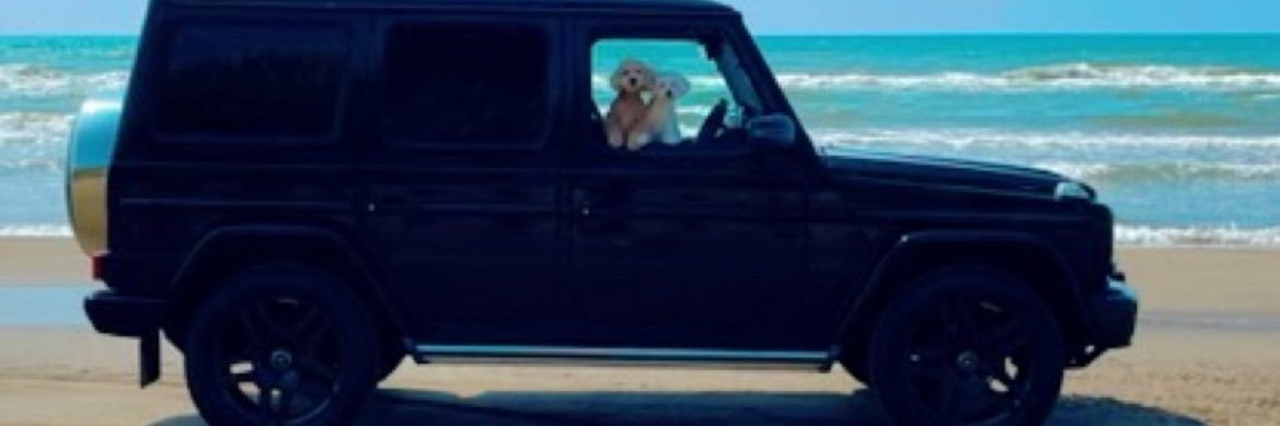piszm's profile banner image