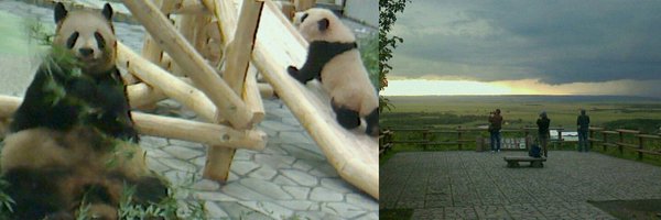 numa_yamagata Profile Banner