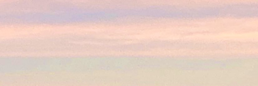 IzzSpringthorpe's profile banner image
