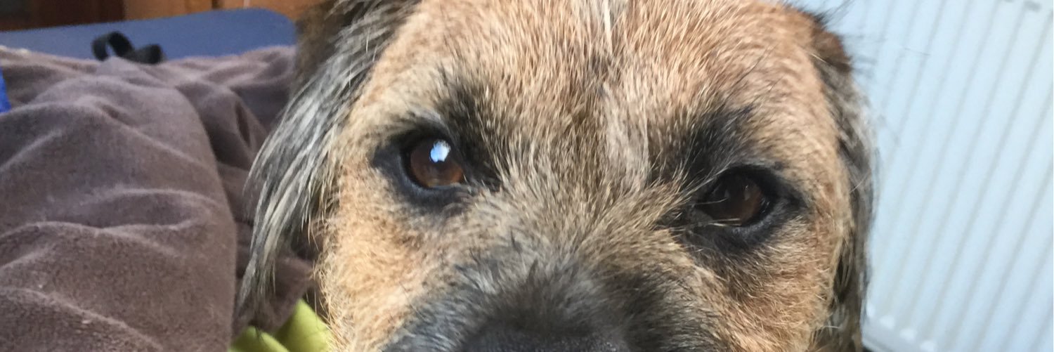 InspJapp's profile banner image