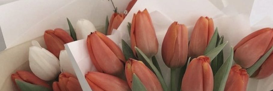 danielleelauraa's profile banner image