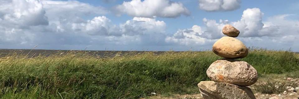 timzifer's profile banner image