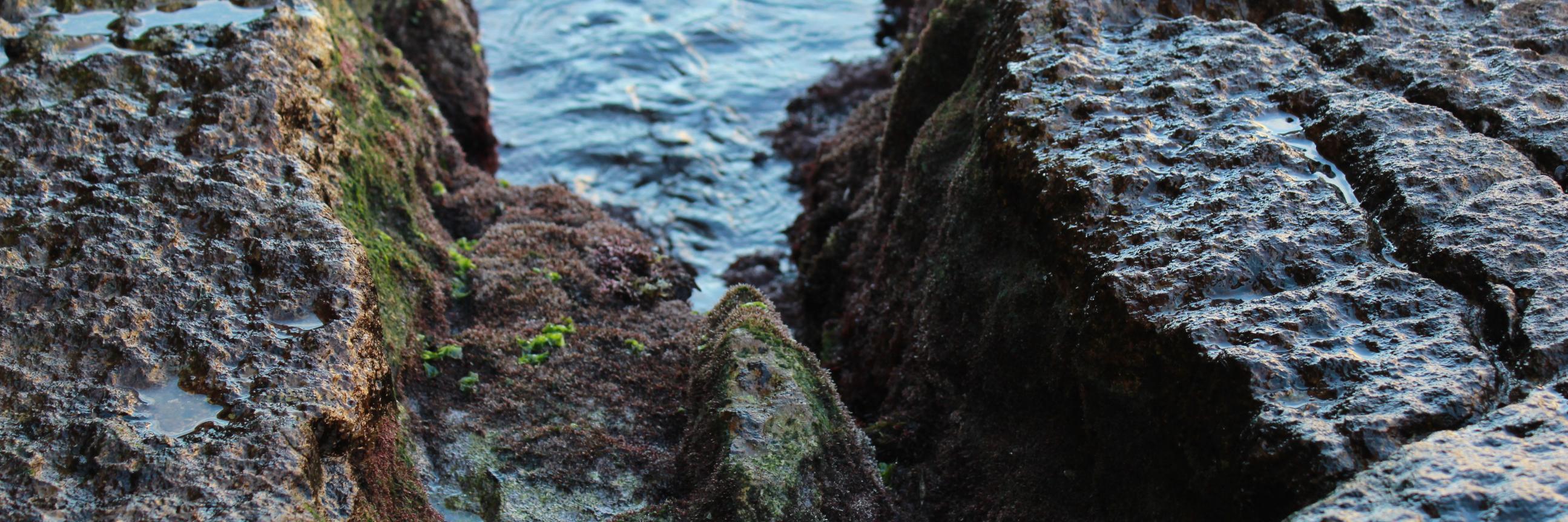 krmbzkrt's profile banner image