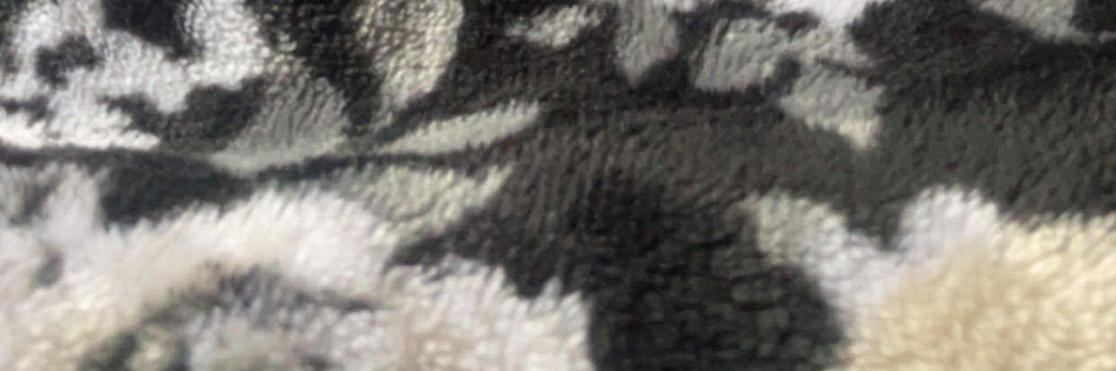 lolaababyylee's profile banner image