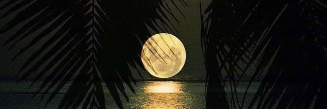 NickyIsland974's profile banner image