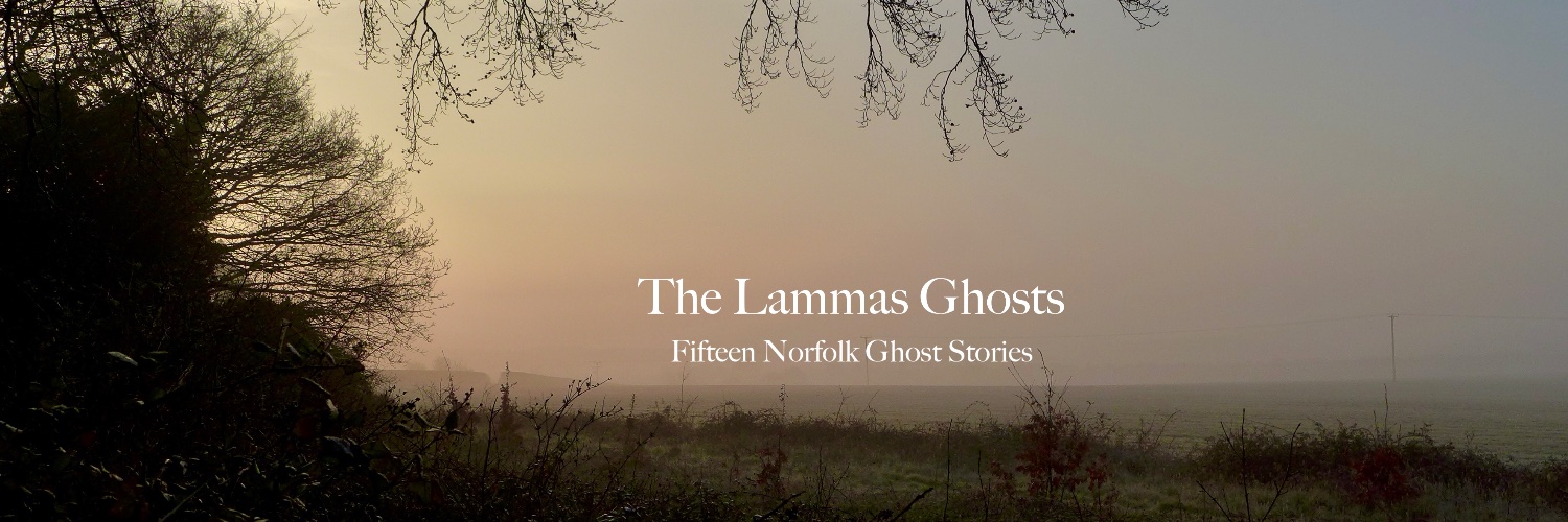 Barendina Smedley banner