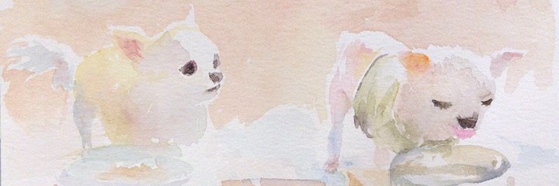 ihsoyb's profile banner image