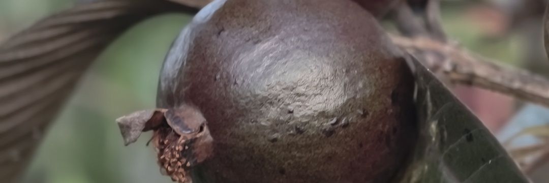 flojo_aja's profile banner image