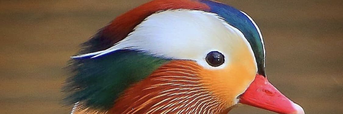 okpat2's profile banner image