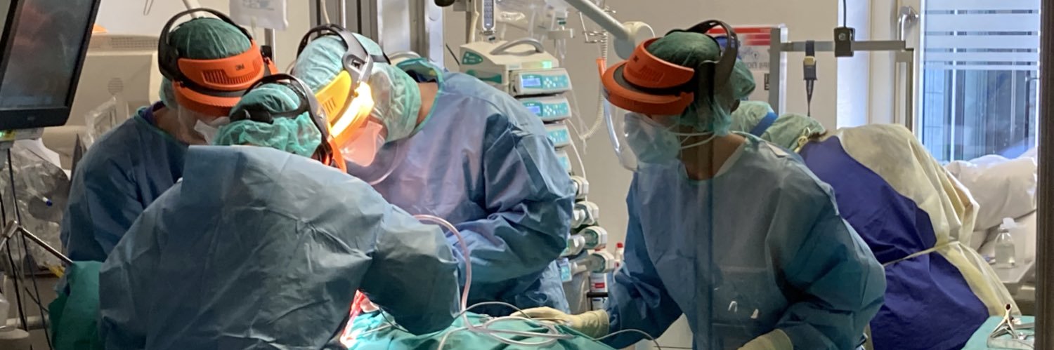 steffterra 👨🏻‍💻 banner