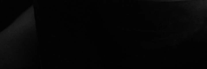 Pedrin banner