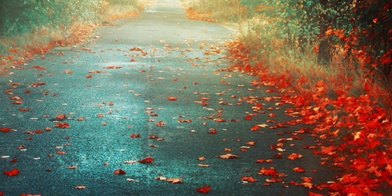 freddusya's profile banner image