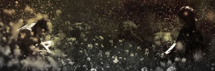 nana 🐝 banner