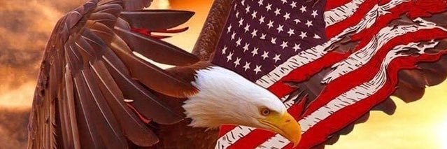 Big 🇺🇸 MAGA Balls banner