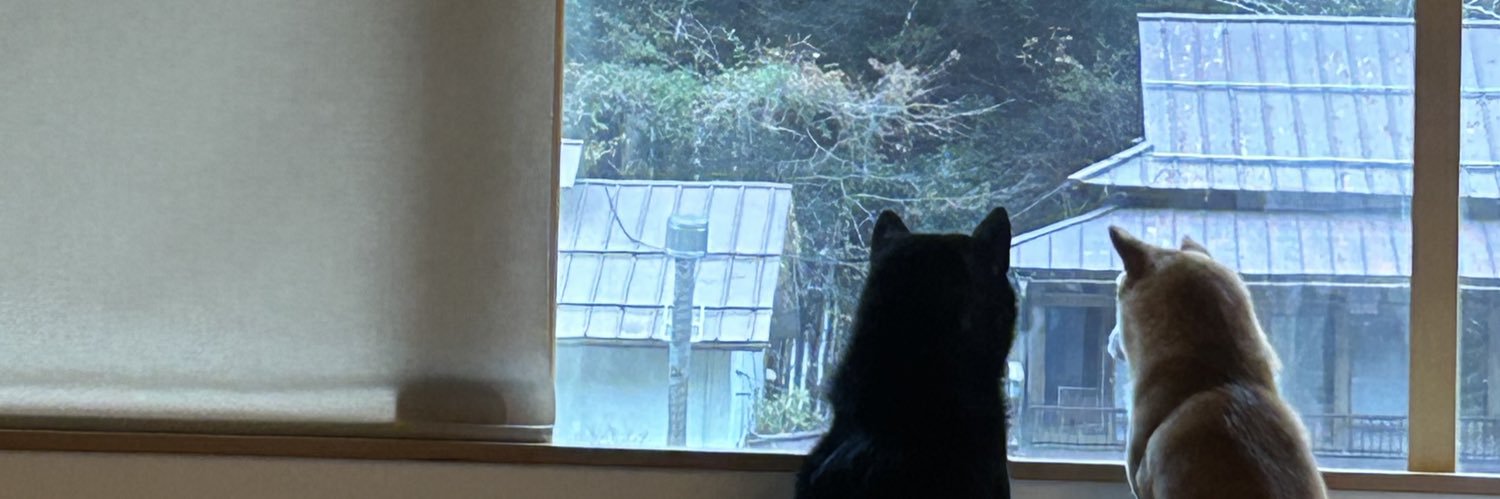 パモ食べます banner