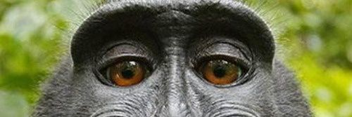 REDKINGBOB_'s profile banner image