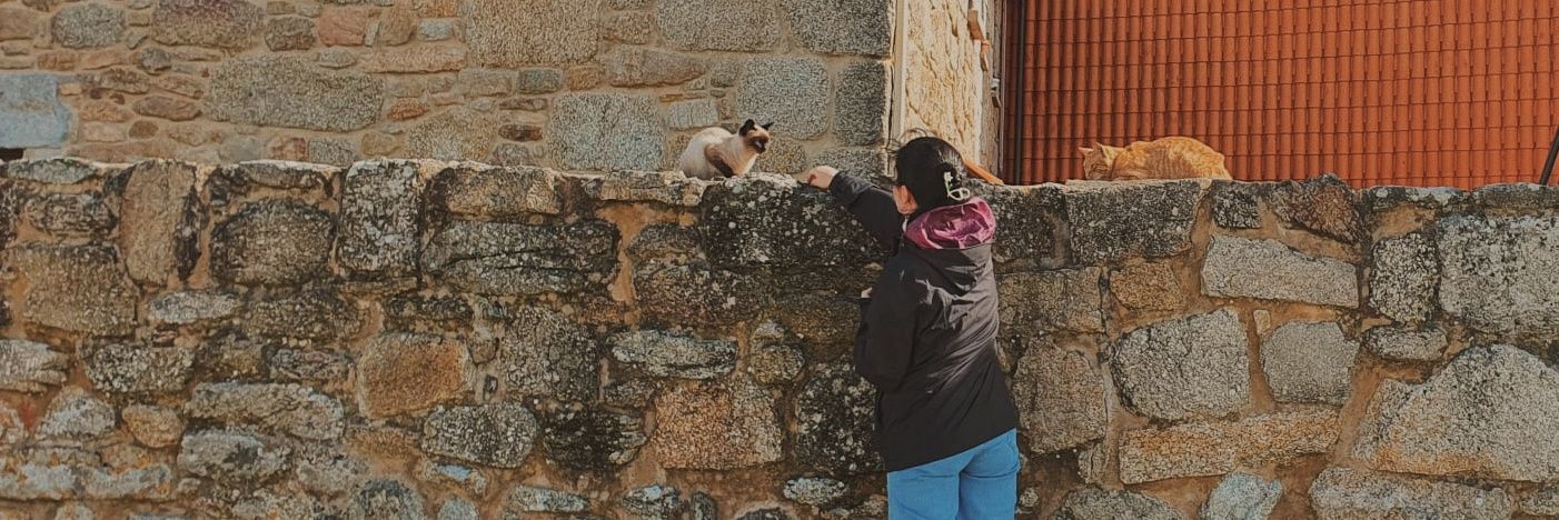 this is the spooky way ☄️🎃 banner