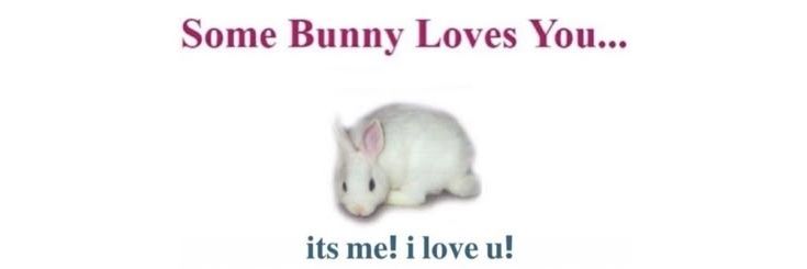 𝓑𝓾𝓷𝓷𝔂𐔌՞ ܸ.ˬ.ܸ՞𐦯 banner