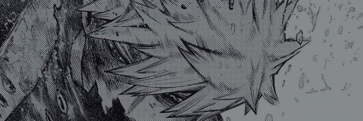bibi banner