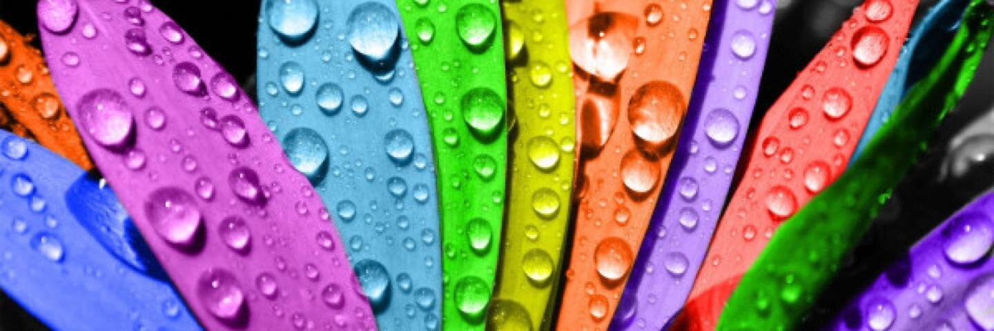 IN_SOSTENIBLE's profile banner image