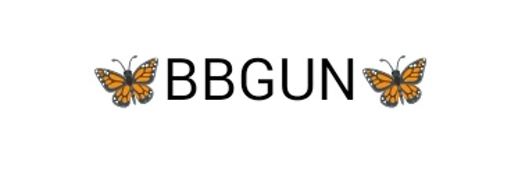 BBgun441 banner