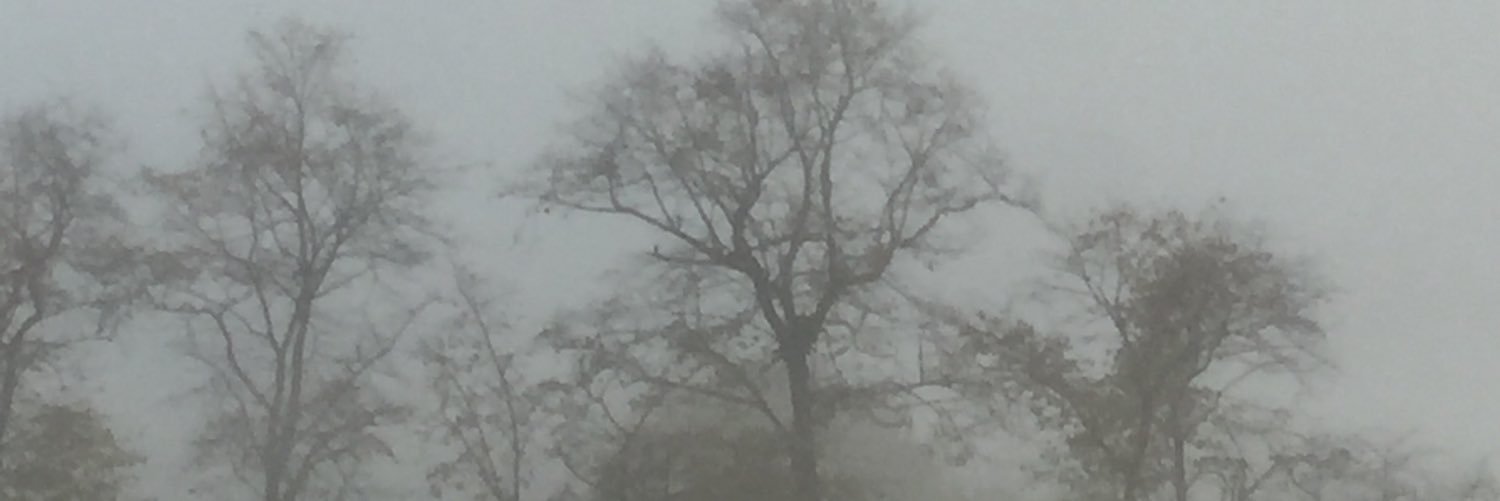 aecasson's profile banner image