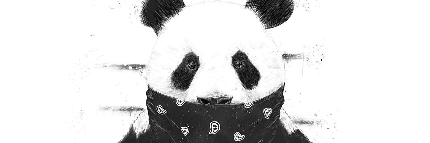 smitkatira's profile banner image