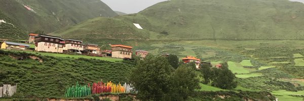 wwendy5 Profile Banner