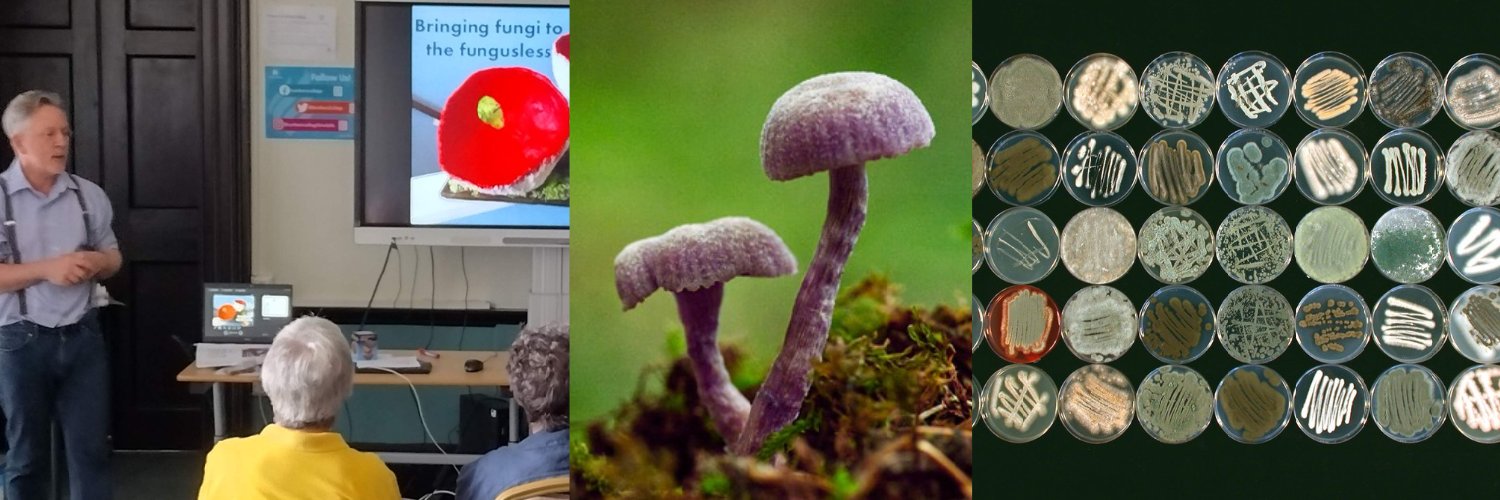 British Mycological Society Profile Banner