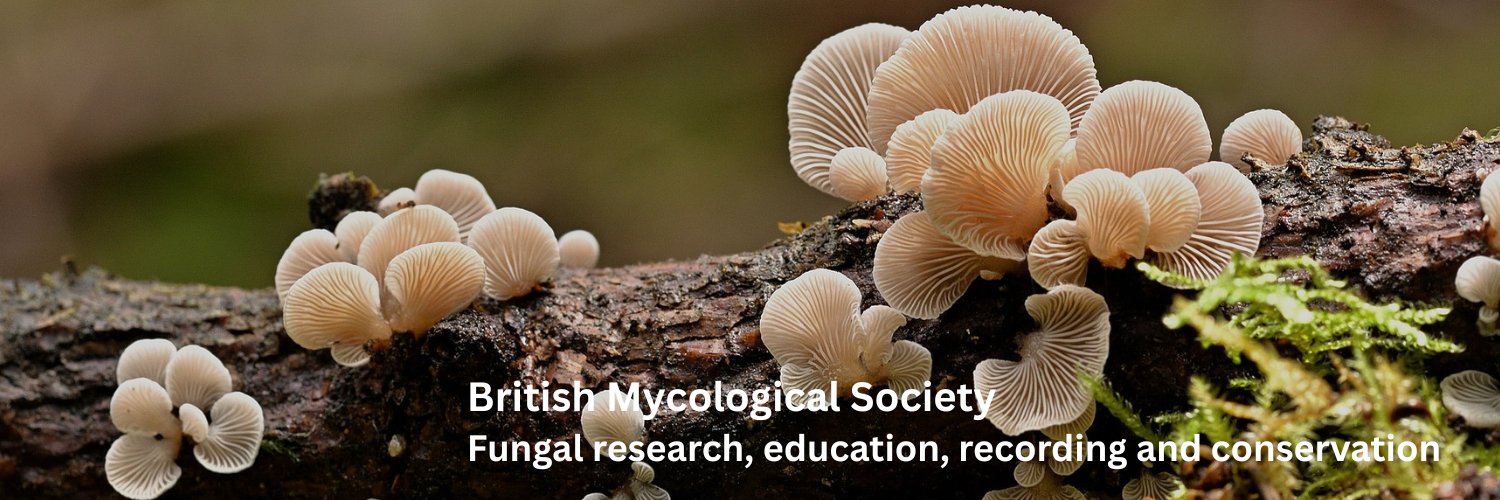 British Mycological Society's banner