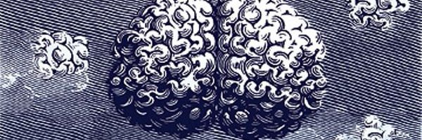 V8KBRAZIL Profile Banner