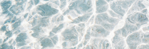 NicolaFayeBlog's profile banner image