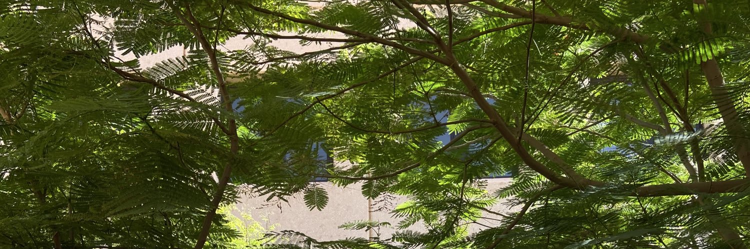 ghostinvoi's profile banner image