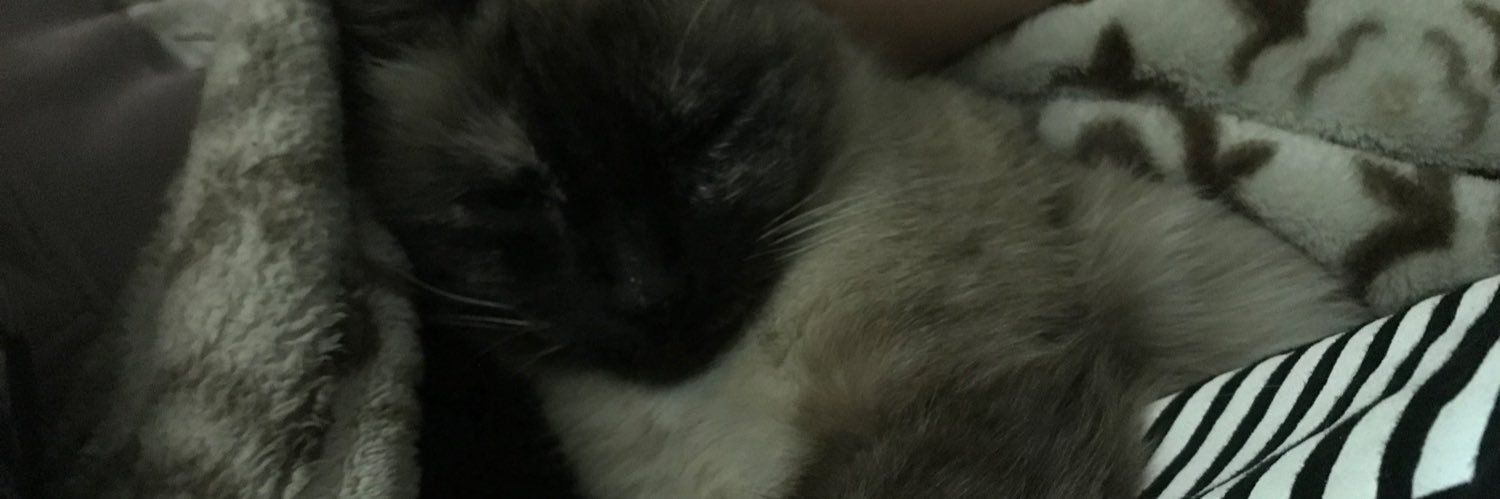andreitahoran's profile banner image