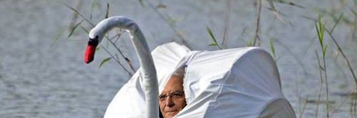 angelosteri's profile banner image