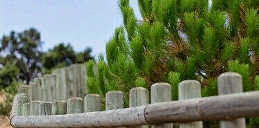 teresagonga85's profile banner image