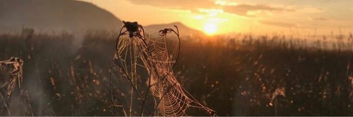 Rahmi Özdemir banner