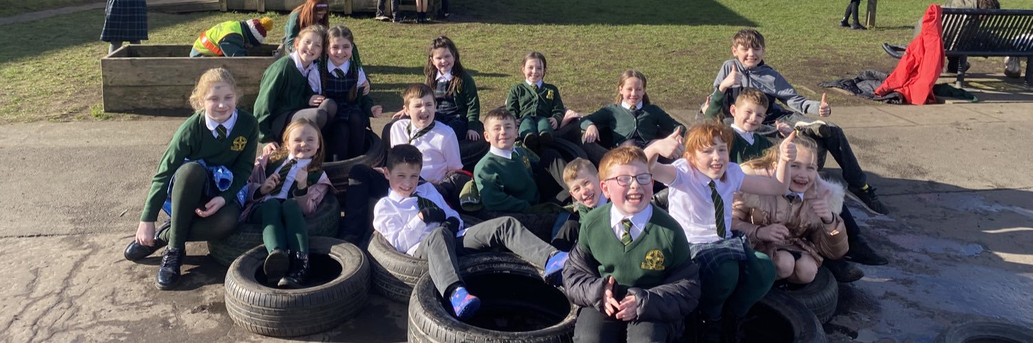 St Patrick's RCPS banner